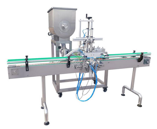 雙頭顆粒自動(dòng)醬料灌裝機(jī),豆豉醬灌裝機(jī)